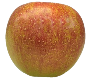 Obst-Kruse-Apfelsorte-Apfelsorte Wellant