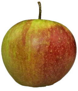 Obst-Kruse-Apfelsorte-Apfelsorte Rubinette